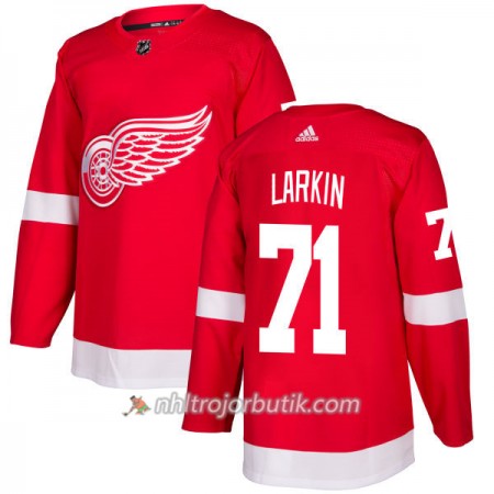 Män Ishockey Detroit Red Wings Tröja Dylan Larkin 71 Adidas 2017-2018 Röd Authentic